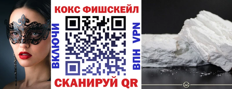 Купить закладки  Жуковка  Cocaine Fish Scale 
