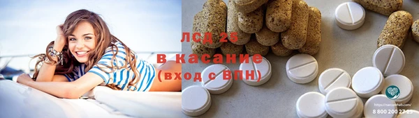 прущие грибы Каменск-Шахтинский