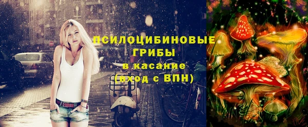 прущие грибы Каменск-Шахтинский