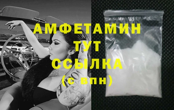 прущие грибы Каменск-Шахтинский