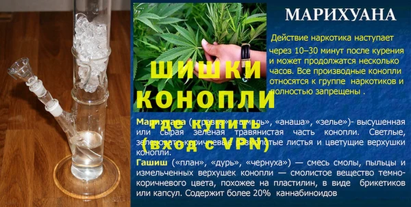 прущие грибы Каменск-Шахтинский