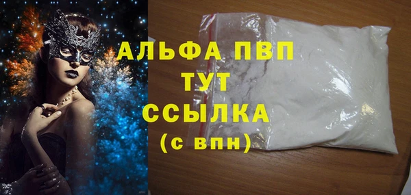 прущие грибы Каменск-Шахтинский